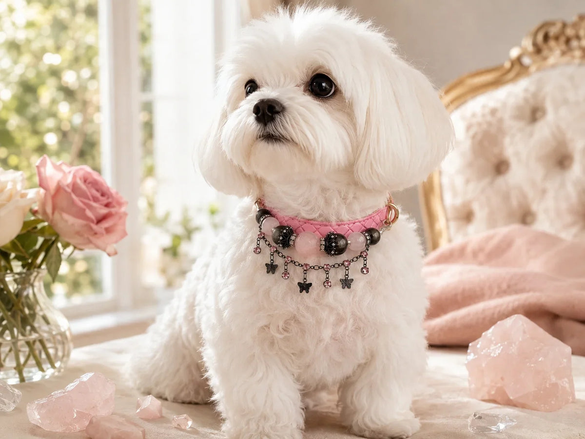 Can Dogs Wear Crystals? Benefits, Safety & How to Choose the Right Crystal