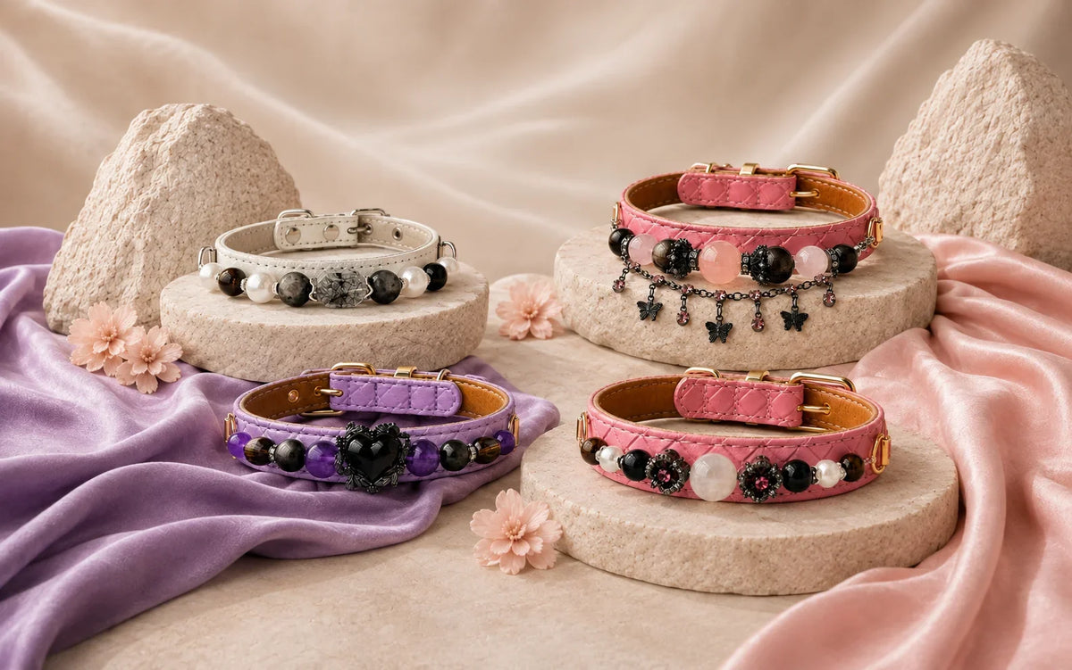Best Crystals for Dogs: 15 Meanings, Benefits & Which One Fits Your Dog