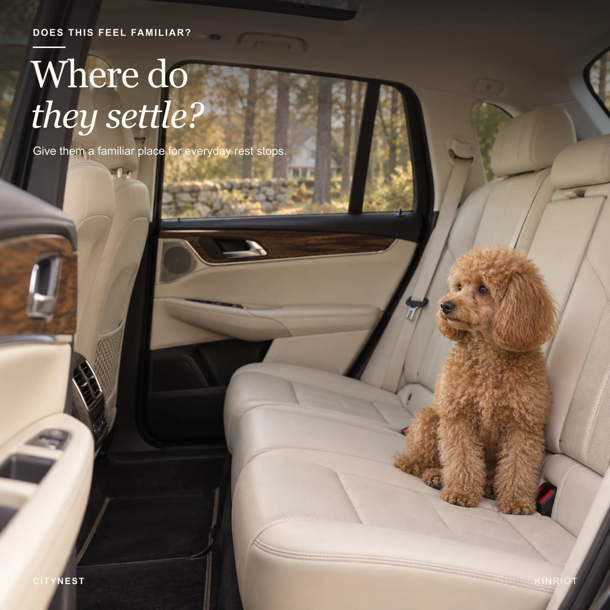 CityNest Everyday Pet Carrier