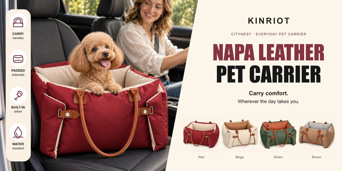 CityNest Everyday Pet Carrier