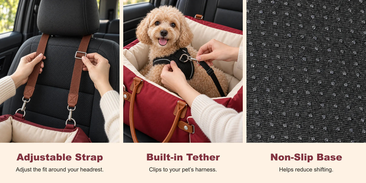 CityNest Everyday Pet Carrier