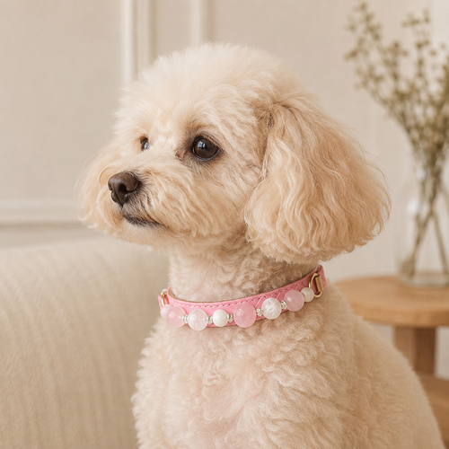 Blush Reverie Gemstone Dog Collar