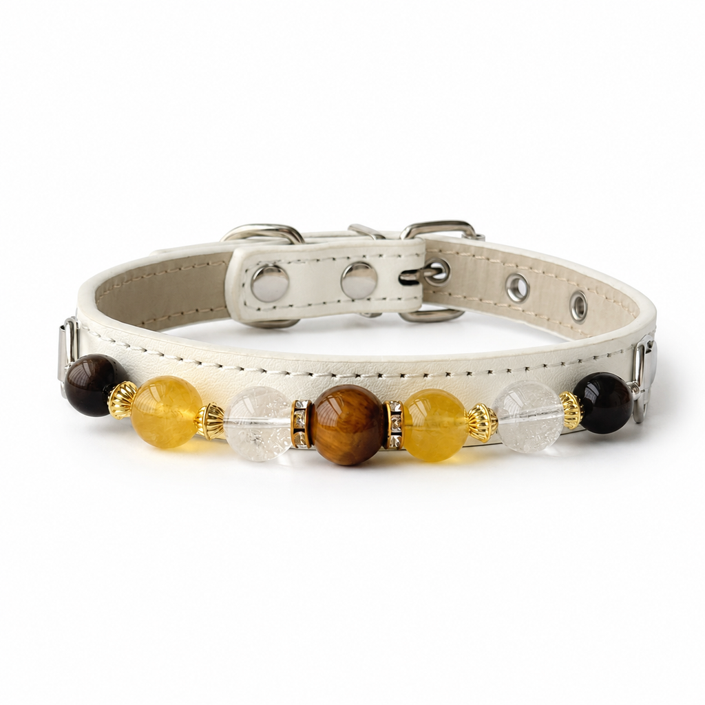 Sunlit Halo Jewelry Dog Collar