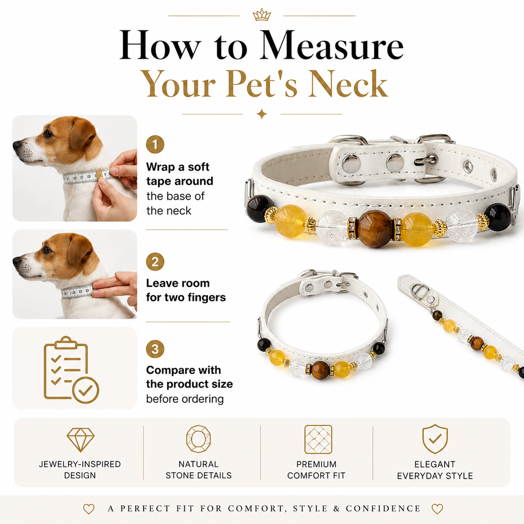 Sunlit Halo Jewelry Dog Collar