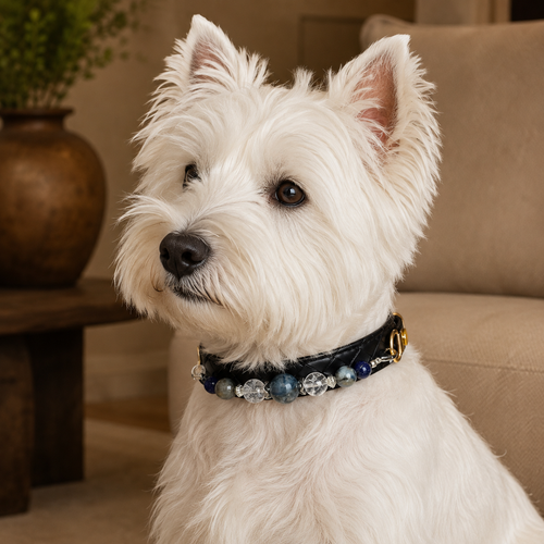 Azure Nocturne Gemstone Dog Collar