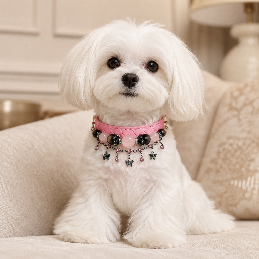 Midnight Butterfly Rose Dog Collar