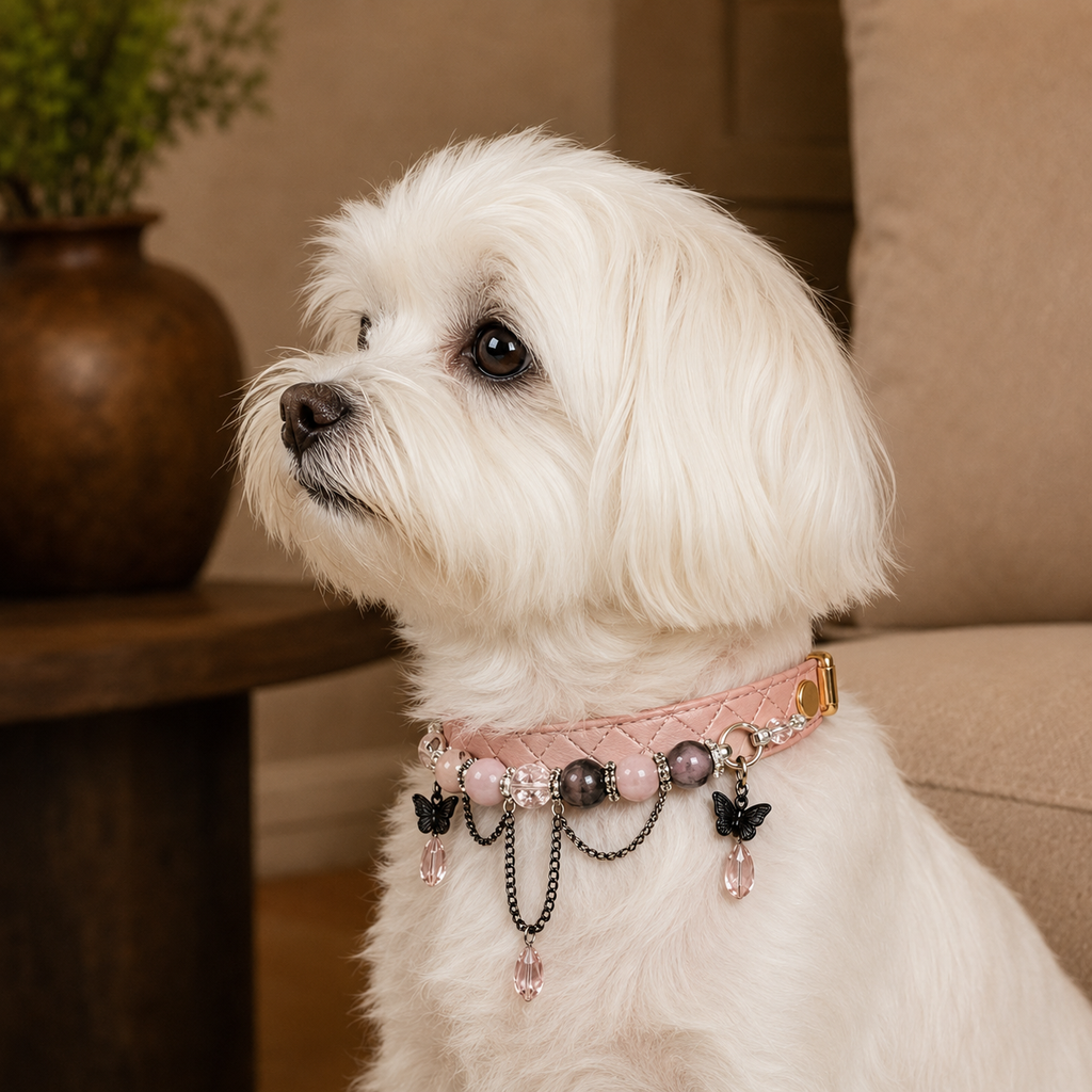 Midnight Butterfly Rose Dog Collar