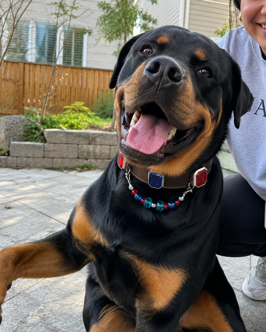 Bruno