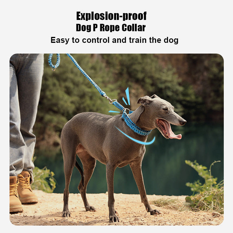 Braided Rope Slip Collar & Leash