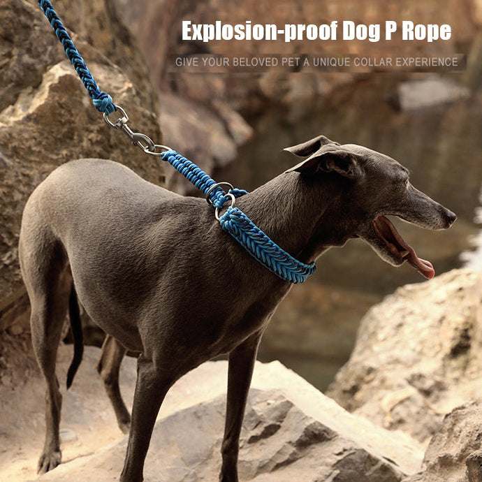 Braided Rope Slip Collar & Leash