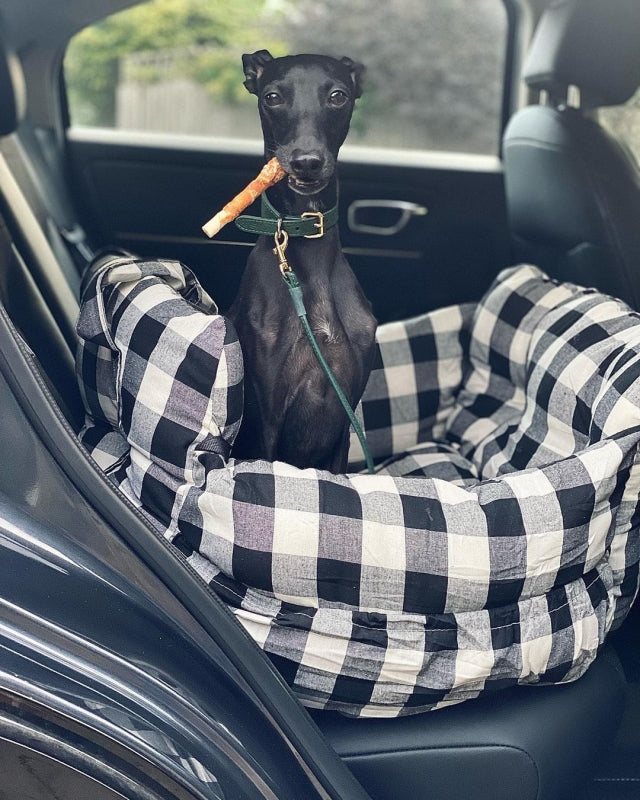 Cushioned Pet Travel Carrier