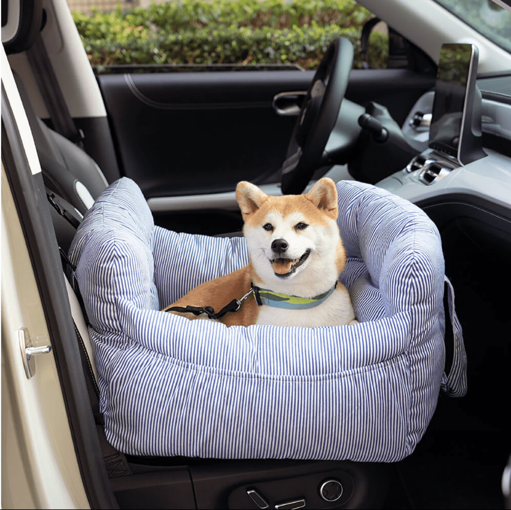 Cushioned Pet Travel Carrier