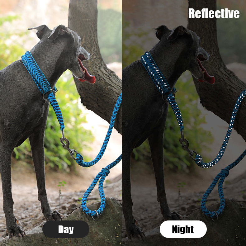 Braided Rope Slip Collar & Leash