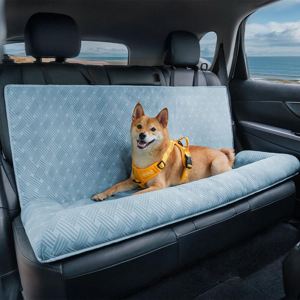Structured Oxford Rear Seat Pet Basket