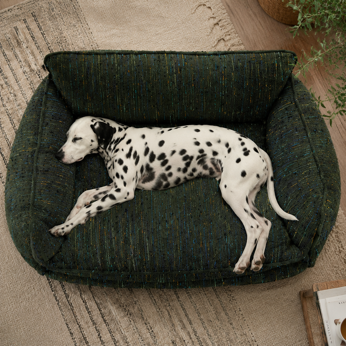 Overhead view of the green chenille dog sofa