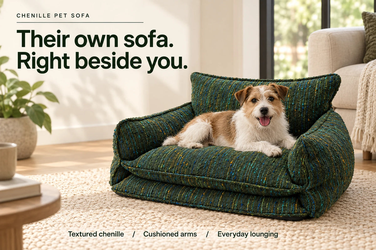 Green chenille pet sofa with a terrier in a bright living room