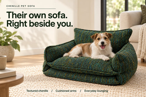 Green chenille pet sofa with a terrier in a bright living room