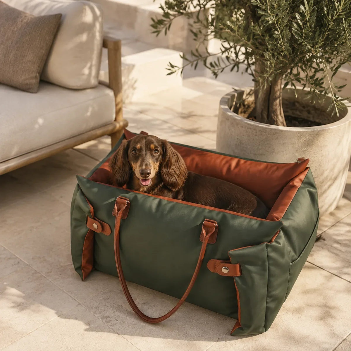 Dachshund resting in a green and orange pet carrier beside a sofa