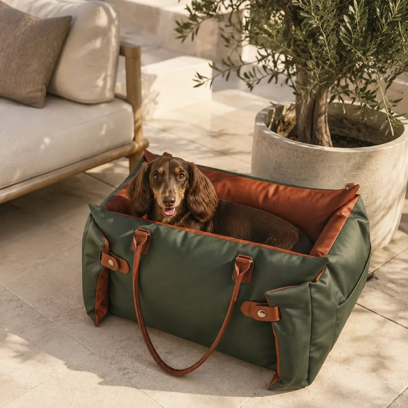 Dachshund resting in a green and orange pet carrier beside a sofa