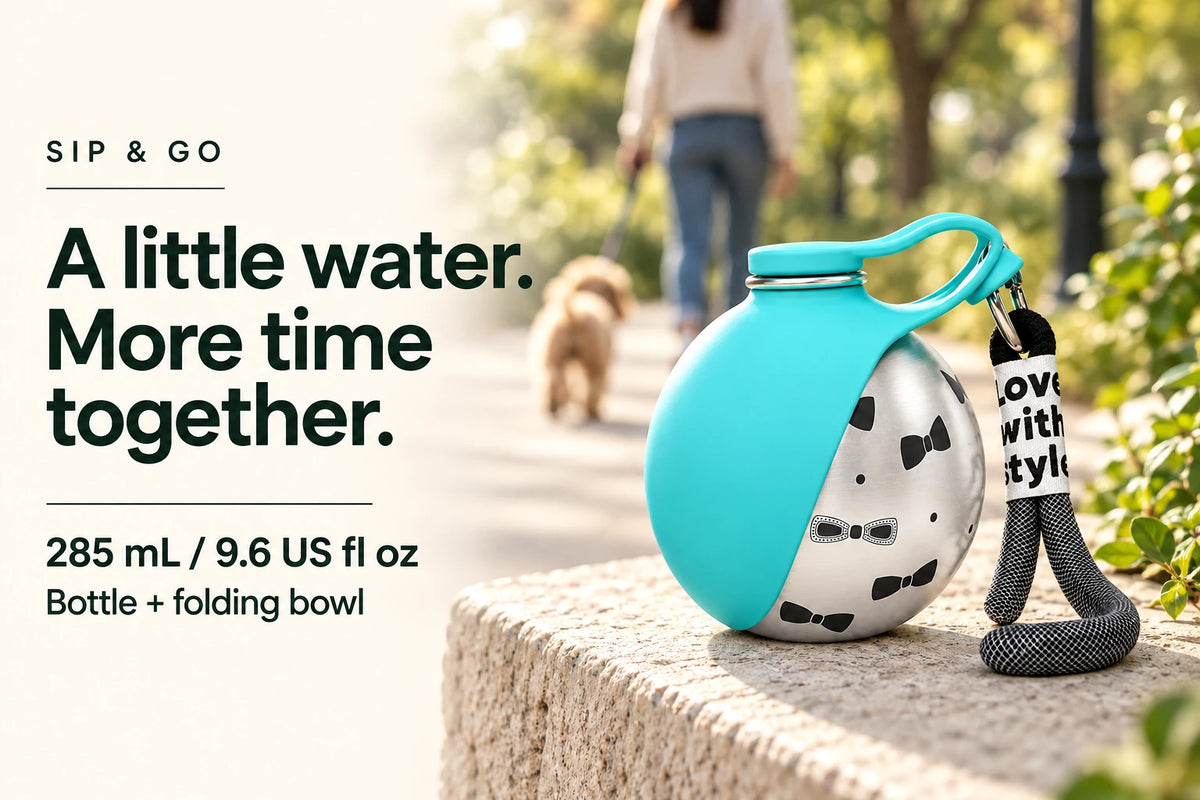 Sip and Go printed travel bottle with folding bowl beside a garden path