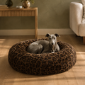 A whippet resting in the leopard print round pet bed