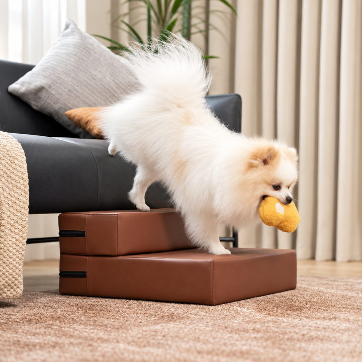 Brown modular faux leather pet stairs, 2-Step configuration, with a Pomeranian beside a sofa