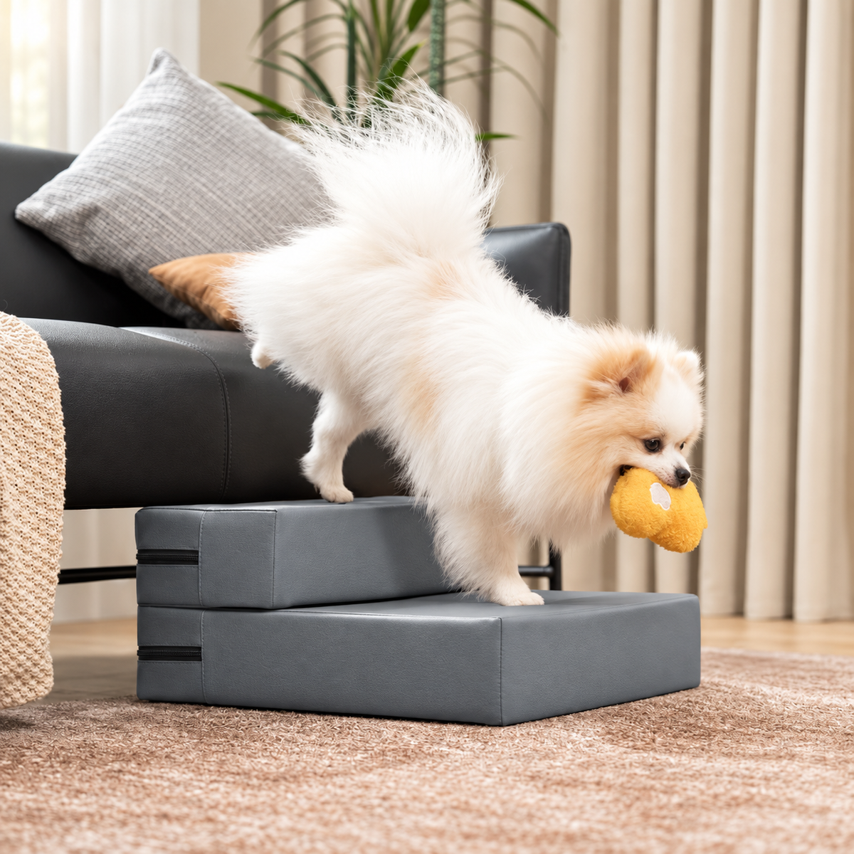 Gray modular faux leather pet stairs, 2-Step configuration, with a Pomeranian beside a sofa