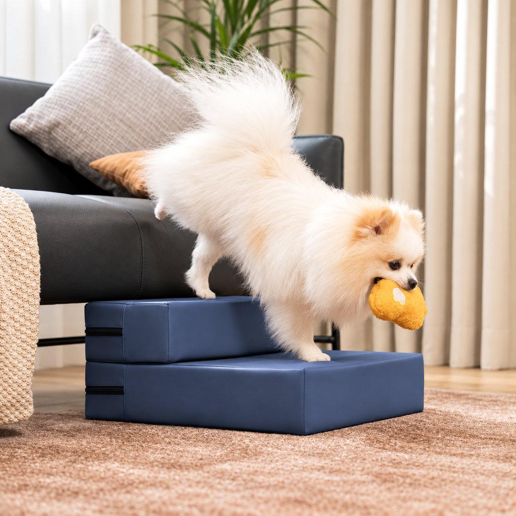 Navy Blue modular faux leather pet stairs, 2-Step configuration, with a Pomeranian beside a sofa