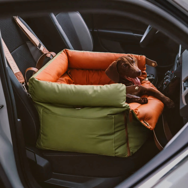 Dachshund resting in an olive green and orange RoadNest Classic dog car seat and travel bed.