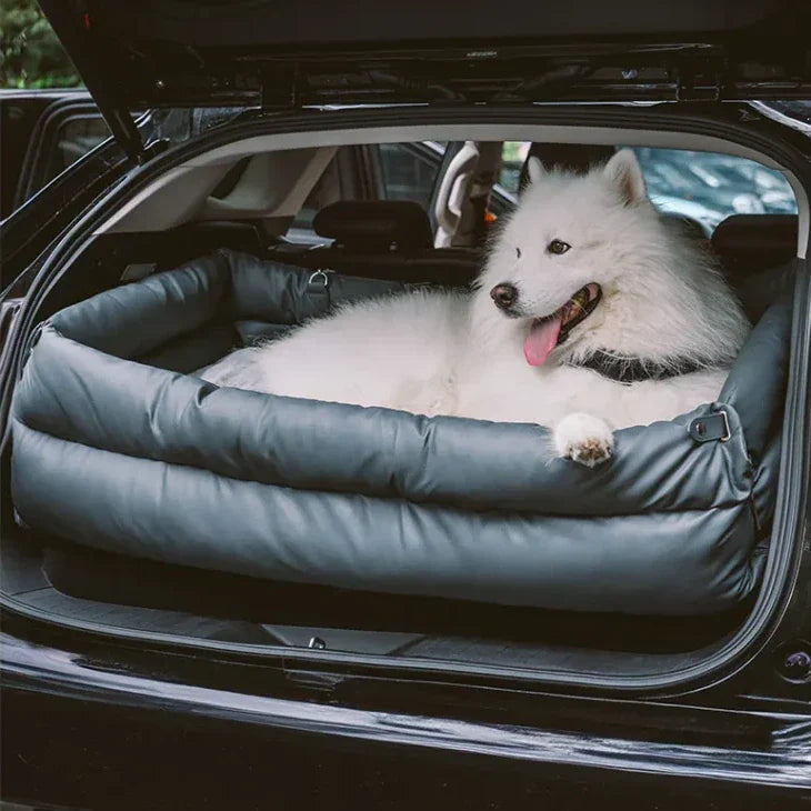 White dog resting on a blue grey long pet bed in an open vehicle boot
