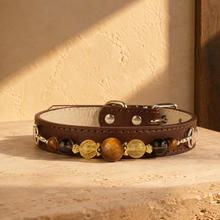 Sable Ember Tiger Eye Pet Jewelry Collar arranged in a warm brown and amber editorial still life.