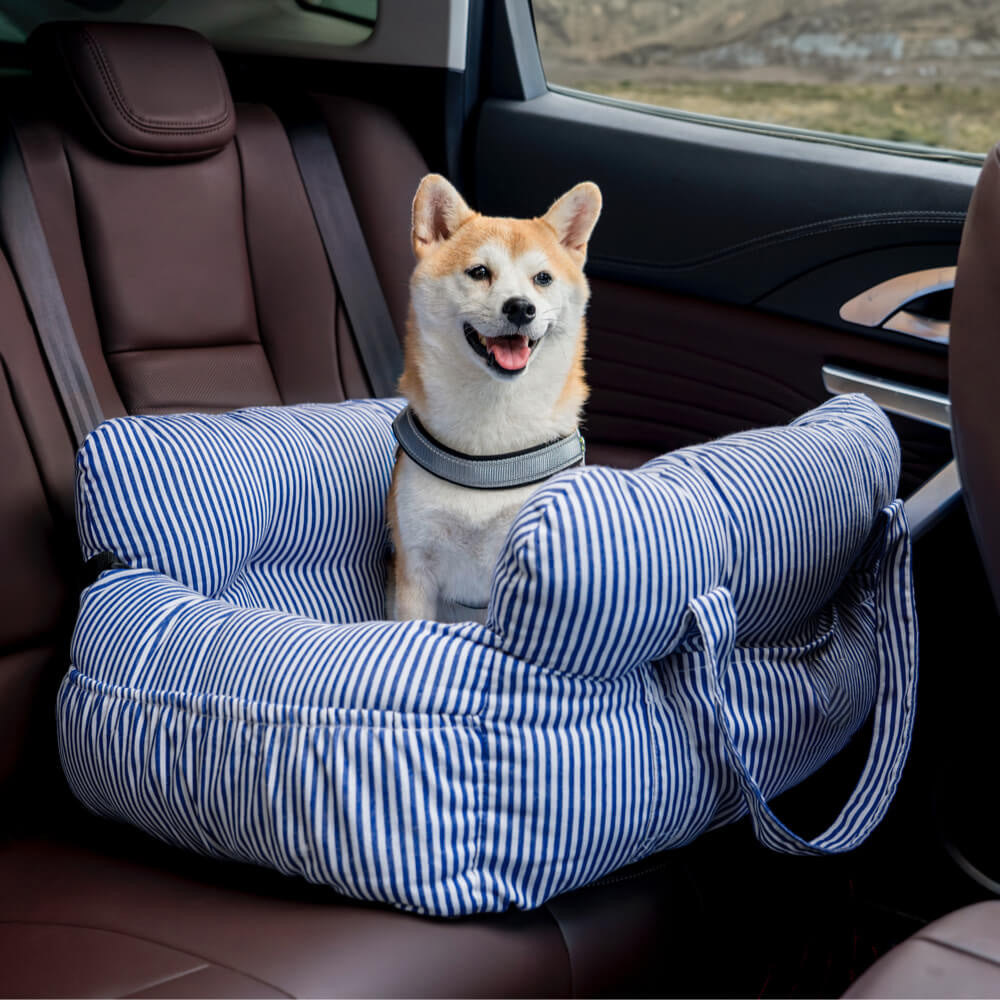 Cushioned Pet Travel Carrier — product and lifestyle photography