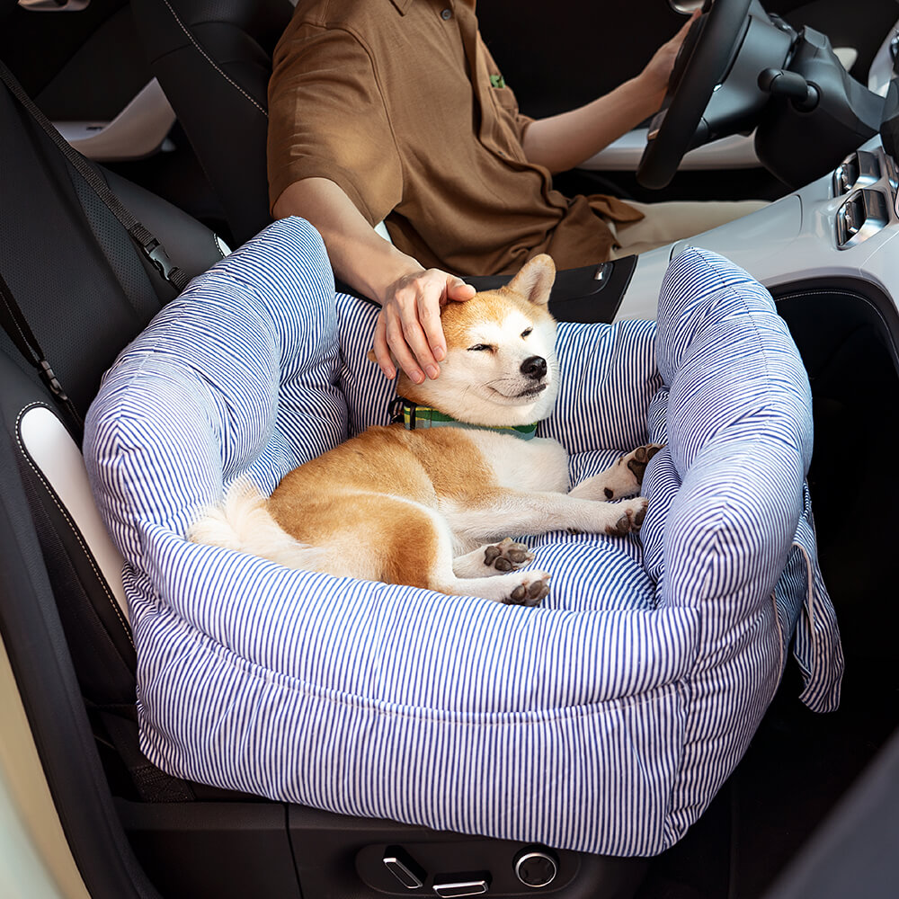 Cushioned Pet Travel Carrier — product and lifestyle photography