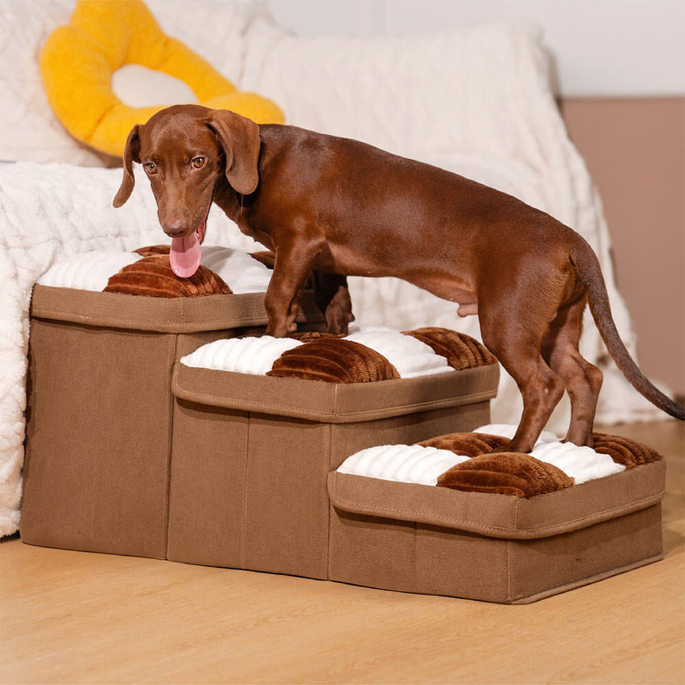 Checkerboard Storage Pet Stairs — product and lifestyle photography