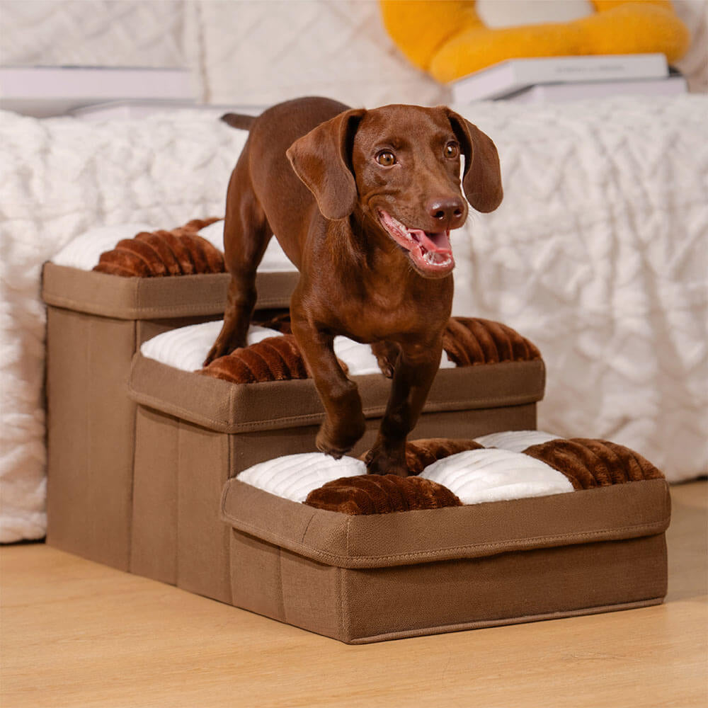 Checkerboard Storage Pet Stairs — product and lifestyle photography