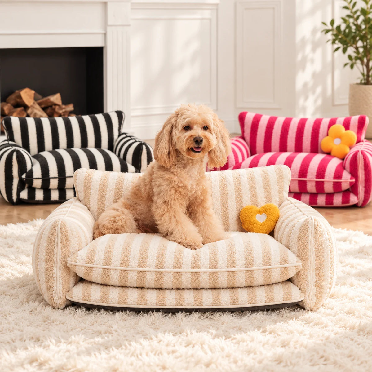 Beige, black and rose striped double-layer pet sofas with an apricot dog sitting on the beige sofa