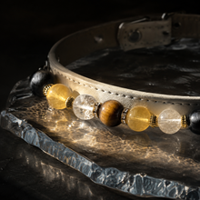 Sunlit Halo pet jewelry collar displayed against a dark surface to highlight its light-catching details.