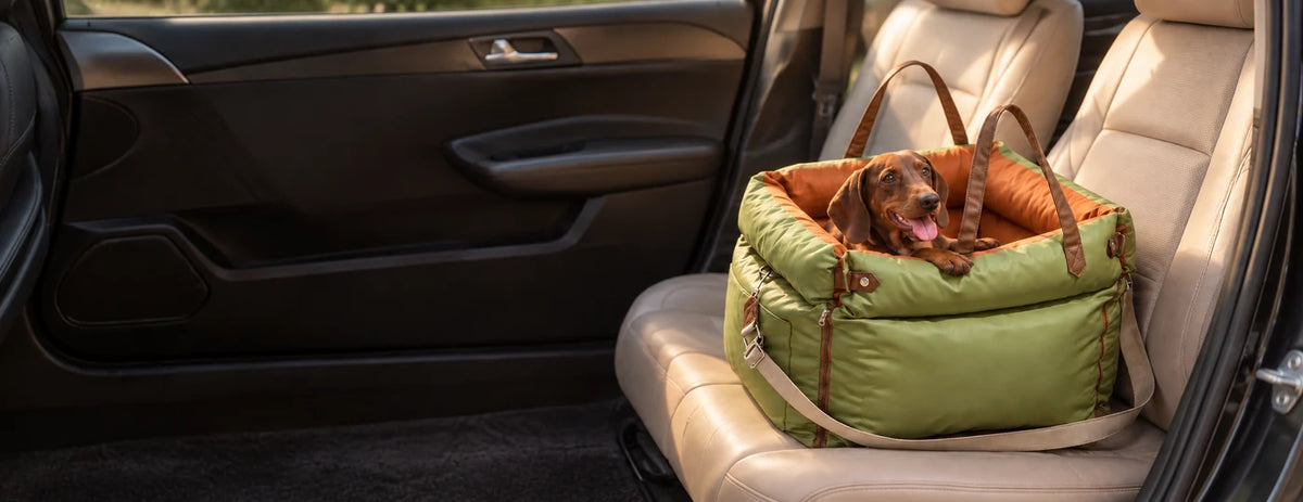 Dachshund resting in an olive green and orange travel bed on a warm car seat