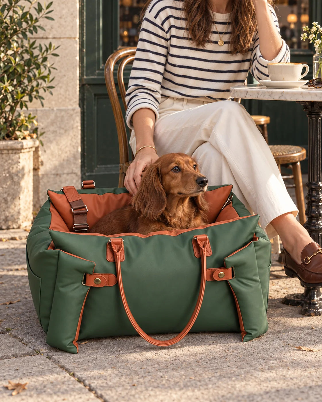 Dachshund in a green CityNest carrier beside its owner at a neighborhood cafe