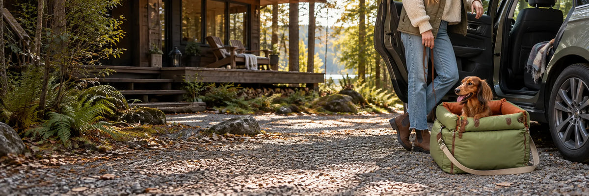 Dachshund in a RoadNest Classic travel bed beside a parked car at a woodland cabin