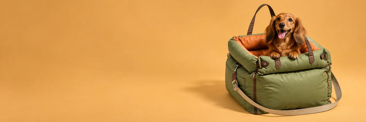 Happy dachshund in an olive RoadNest Classic travel bed against a warm amber background