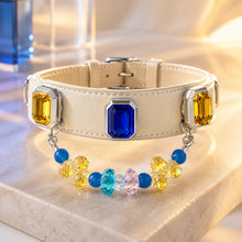 Riviera Prism Blue Agate & Sapphire Interchangeable Crystal Pet Jewelry Collar for size-compatible cats and dogs.