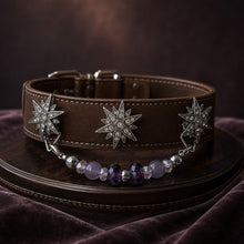 Violet Constellation Purple Agate Interchangeable Crystal Pet Jewelry Collar for size-compatible cats and dogs.