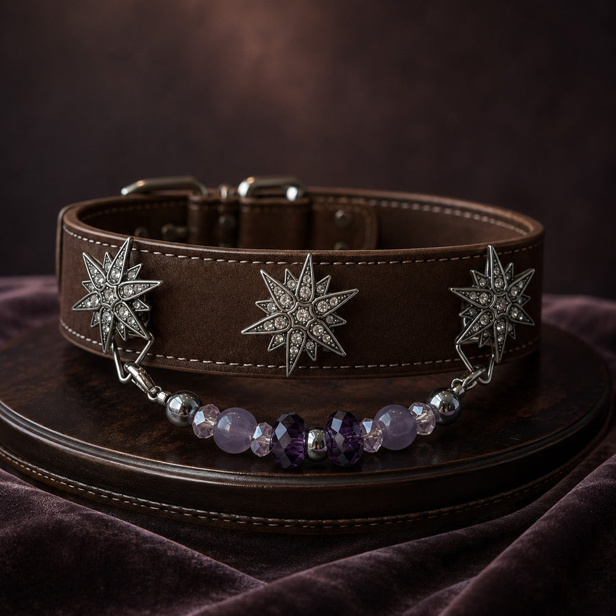 Violet Constellation Purple Agate Interchangeable Crystal Pet Jewelry Collar for size-compatible cats and dogs.