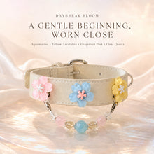 Daybreak Chorus Aquamarine Interchangeable Crystal Pet Jewelry Collar — KINRIOT crystal pet jewelry for size-compatible cats and dogs, gallery view 3.