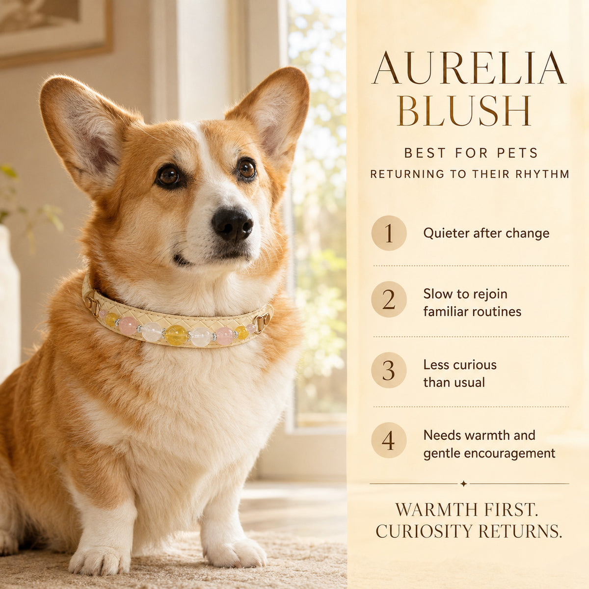 Aurelia Blush Yellow Fluorite & Rose Quartz Pet Jewelry Collar — KINRIOT crystal pet jewelry for size-compatible cats and dogs, gallery view 4.