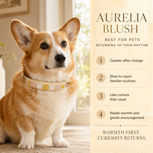 Aurelia Blush Yellow Fluorite & Rose Quartz Pet Jewelry Collar — KINRIOT crystal pet jewelry for size-compatible cats and dogs, gallery view 4.