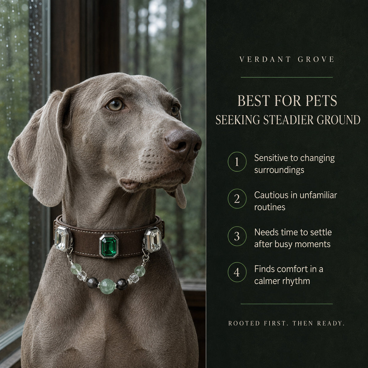 Verdant Grove Green Fluorite & Obsidian Interchangeable Crystal Pet Jewelry Collar — KINRIOT crystal pet jewelry for size-compatible cats and dogs, gallery view 4.