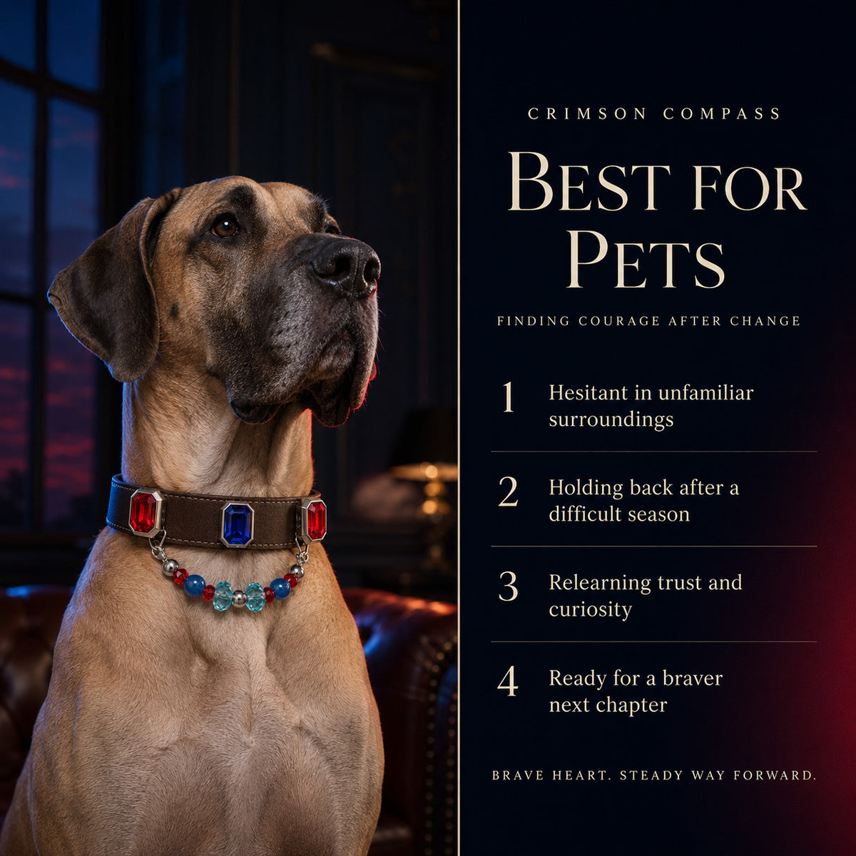 Velvet Voltage Blue Sapphire, Agate & Ruby Interchangeable Crystal Pet Jewelry Collar — KINRIOT crystal pet jewelry for size-compatible cats and dogs, gallery view 4.