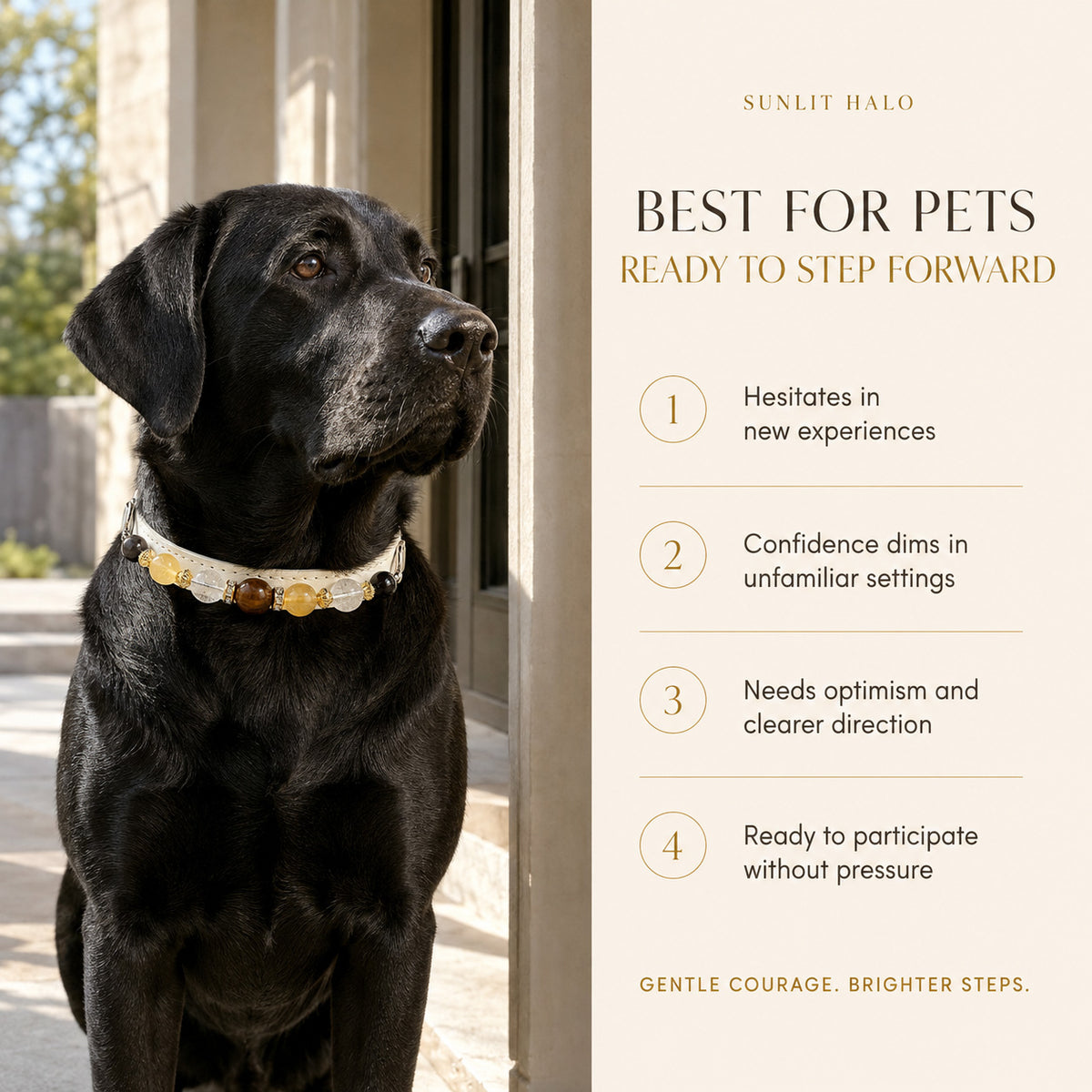Sunlit Halo Tiger’s Eye & Yellow Fluorite Pet Jewelry Collar — KINRIOT crystal pet jewelry for size-compatible cats and dogs, gallery view 4.